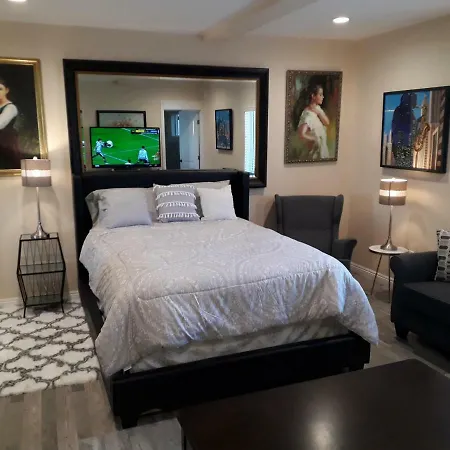 Comfortable Luxury Studio-2